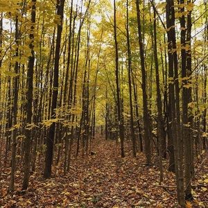 Meet your Posher, Billie-jo